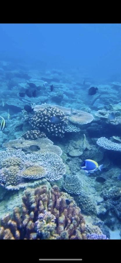 Seagate Bungalows Sabang  Kültér fotó